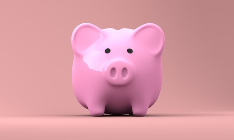 piggy bank, money, finance-2889042.jpg